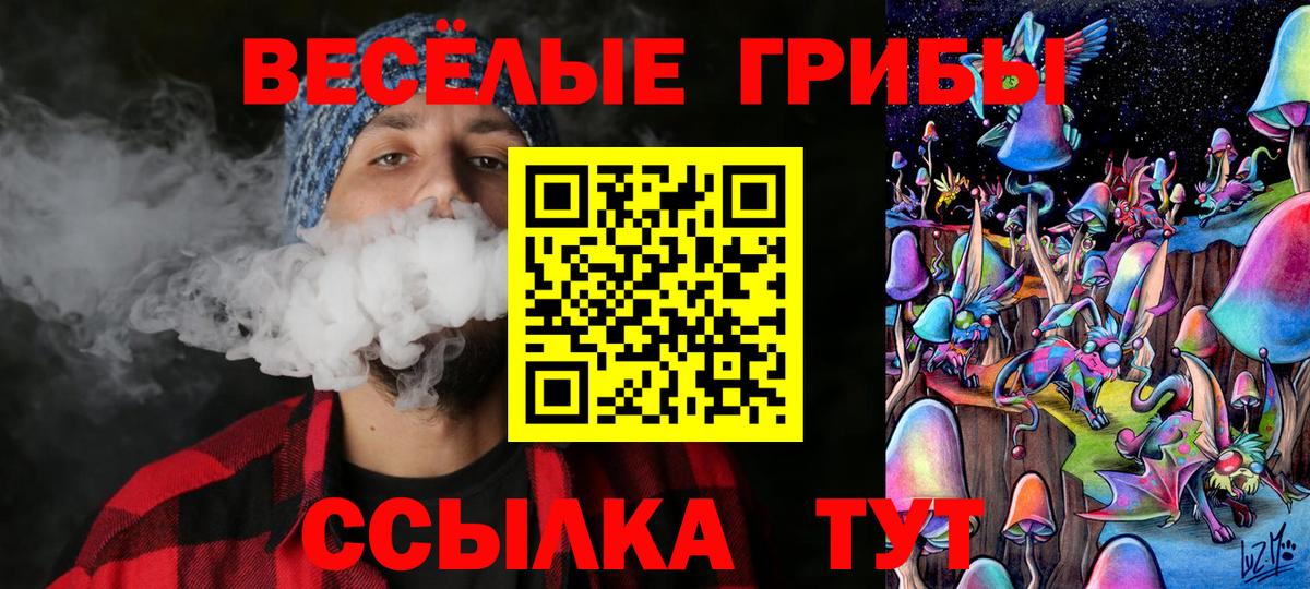 Топки  Псилоцибиновые грибы Psilocybine cubensis  Вход с VPN  Галлюциногенные грибы мухоморы 