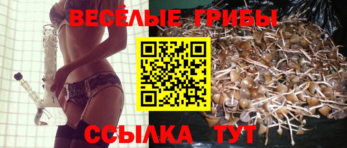 Галлюциногенные грибы GOLDEN TEACHER Топки